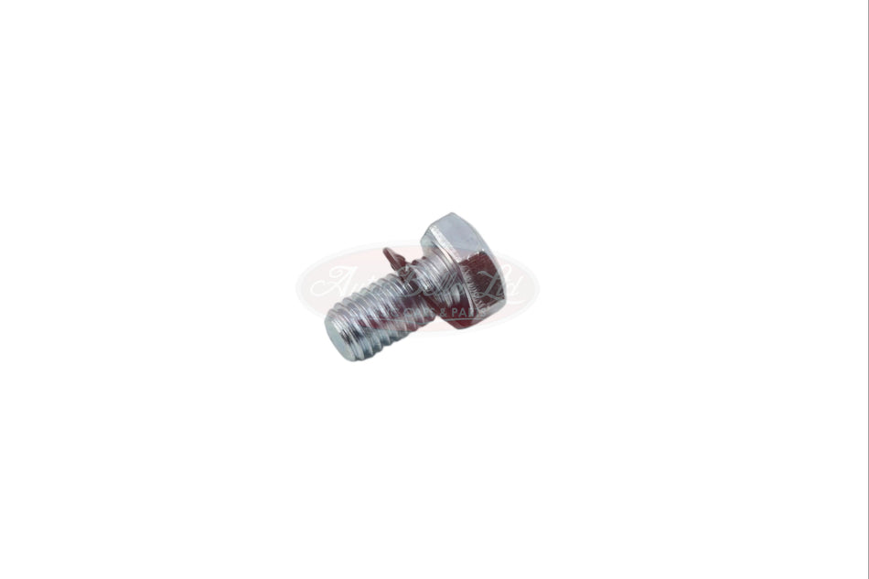 Classic Fiat 500 F L R Door Hinge Bolt & Washer Zinc Plated